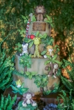 Niver Eudes Neto
