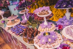 15 Anos de Maria Eduarda Linhares