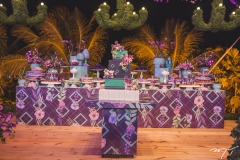 15 Anos de Maria Eduarda Linhares