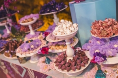 15 Anos de Maria Eduarda Linhares