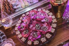 15 Anos de Lívia Pinheiro