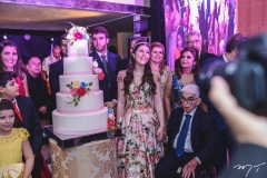 15 Anos de Lívia Pinheiro