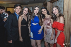 15 Anos de Lívia Pinheiro