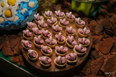 Aniversário de Bianca Barbosa