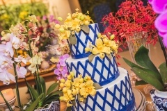 Aniversario de Lia Freire