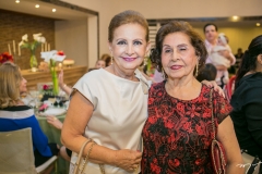 Norma Brasil e Rosa Lima