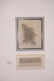 Abertura da mostra "Arte Moderna in Brasile"