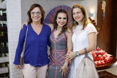 Lucia Wolff, Adriana Queiroz e Carmilce Marinho