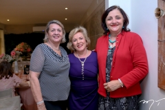 Nilce Fontenele, Regina Alves e Silvia Marques