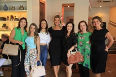 Liliane Liberato, Alexandra Schreen, Luciane Kimura, Anelisa Barreira, Suzana Pires, Sandra Pontes e Ana Cristina Wolf