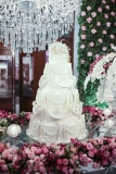 Niver Camila Freire