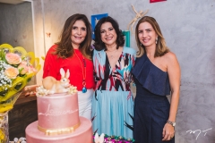 Chrystiane Figueiredo, Luciana Lôbo e Karmilse Marinho