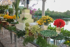 Niver Paulo Vieira