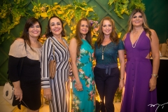 Aniversário De Vera Costa