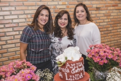 Ana Virgínia Martins, Martinha Assunção e Cláudia Gradvohl