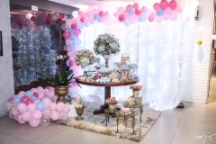 Niver Ticiana Lobo