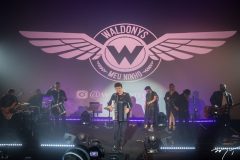 Show de aniversário de Waldonys