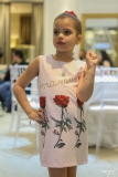 Sophia Fontenele