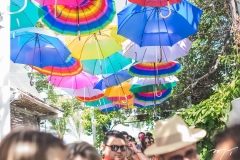 Carnaval do Colosso