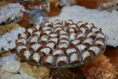 Casamento Raisa e Amadeu (8)
