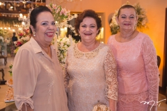 Maria das Graças Rodrigues, Ana Luiza Dias e Berlamina Rodrigues