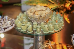 Casamento de Larissa Ximenes e Newton Basto