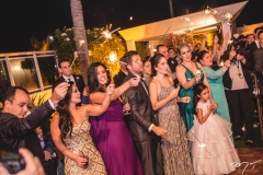 Casamento de Larissa Ximenes e Newton Basto