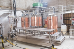 Laçamento da Cervejaria 5 Elementos  (5)