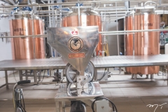Laçamento da Cervejaria 5 Elementos  (7)