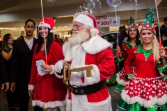 Chegada do Papai Noel  no Shopping Benfica (275)