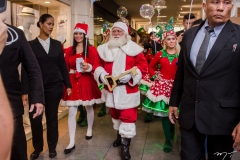 Chegada do Papai Noel  no Shopping Benfica (281)