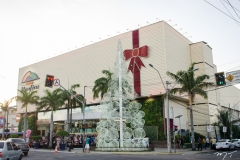 Chegada do Papai Noel  no Shopping Benfica (4)