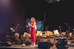 Concerto Waldonys (3)