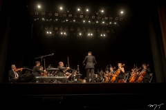 Show da Orquestra Contemporânea Brasileira com David Valente