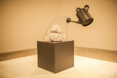 Exposição Zé Tarcisio
