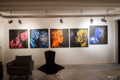 Galeria Mariana Furlani abre exposição sobre Wilson Neto