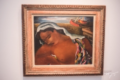 Exposição Di Cavalcanti (29)