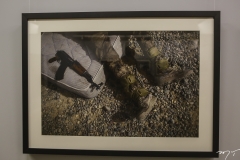 Museu da Fotografia