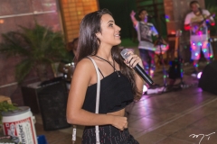 Festa de Despedida