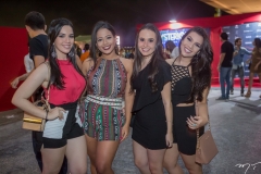 Amanda Cavalcante, Gabriela Bridi, Mariana Coelho e Nara Suzane