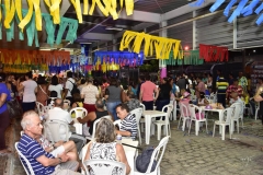 Fim do Festival Benfolia 2018