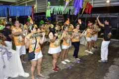 Fim do Festival Benfolia 2018