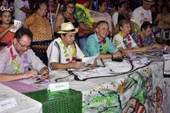 Fim do Festival Benfolia 2018