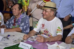 Fim do Festival Benfolia 2018