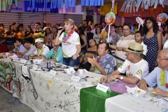 Fim do Festival Benfolia 2018