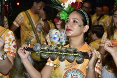 Fim do Festival Benfolia 2018