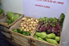 Loja Experiência Muda Meu Mundo