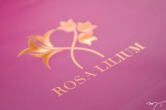Rosa Lilium