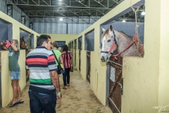 IX GP Fortaleza (10)