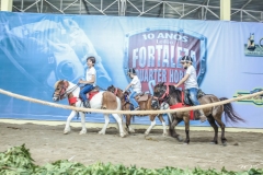 IX GP Fortaleza (12)